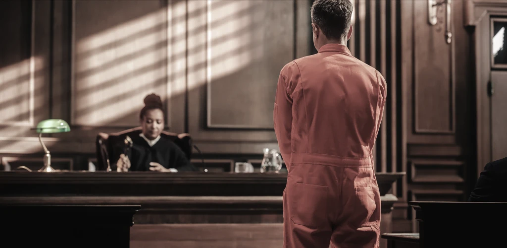 Chicago criminal defense lawyer