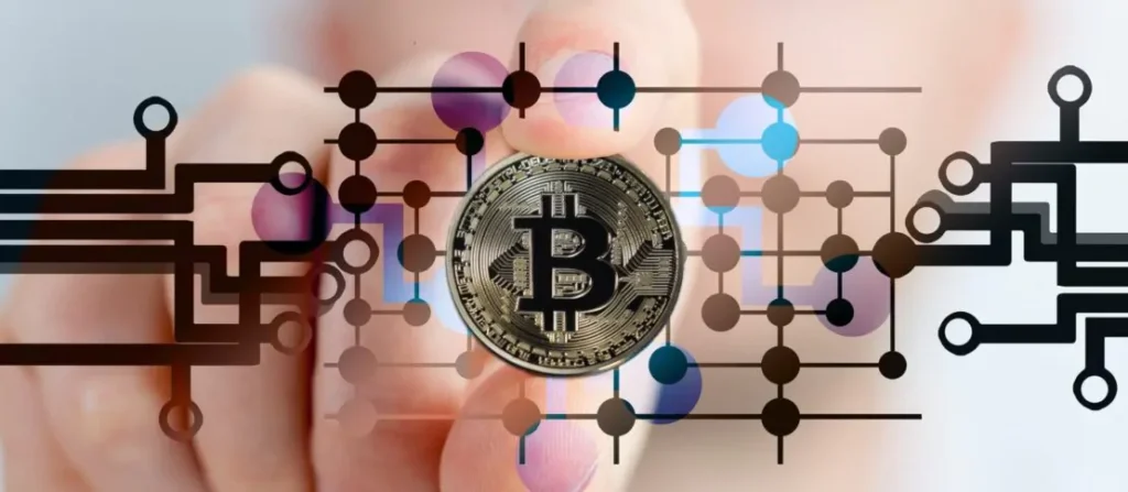 Crypto Crime Lawyer